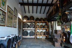 Tour Acetaia provincia di Modena