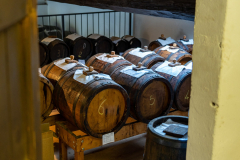 Mosto cotto acetificato prezzo