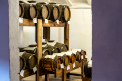 Degustazione aceto balsamico Maranello