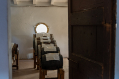 Aceto artigianale Modena