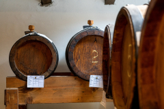 Dove comprare aceto balsamico Modena